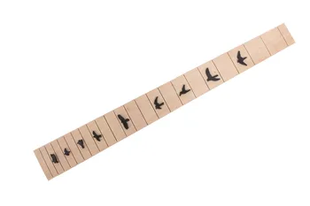 1set (10pcs) Kitara Fretboard Podolgovat Ptica Podolgovat Kitara Fingerboard Dodatki