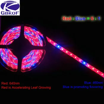 5 M, LED Ffs Svetilke Celoten Spekter LED Trak Svetlobe 300 Led 5050 Čip LED Fitolampy Rastejo Luči Toplogrednih Hydroponic rastlin