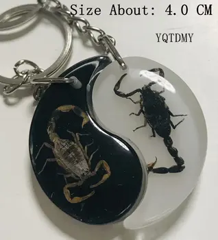 Brezplačna Dostava yqtdmy čarobno Insektov Keychain Gold Black Scorpion Osebkov Zbiranje NAKIT PREPARIRANJA