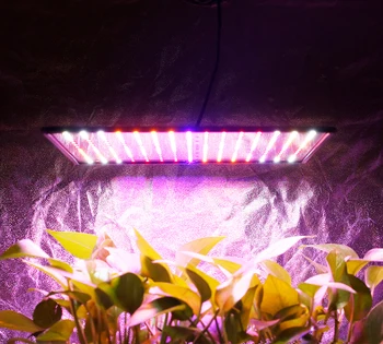 Naraščanje Luči Celoten Spekter Ffs Lučka Toplogrednih Gojenje Cvetenja Phytolamp Za Seedings Šotor Led Panel Sobne Rastline Lučka